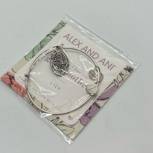 New Alex and Ani Bracelet